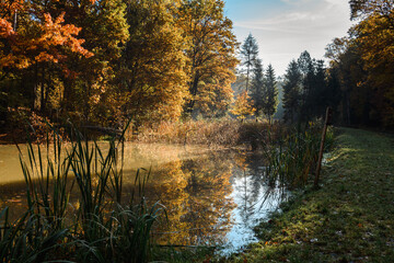Jesień, jeziorko i las