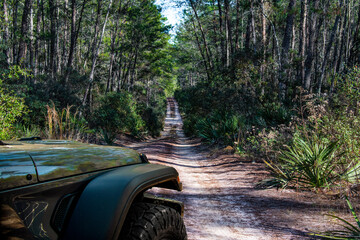  4 x 4 Vehicle Off Road Trail at Ocala State National Forest Florida
