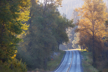 Autumn road
