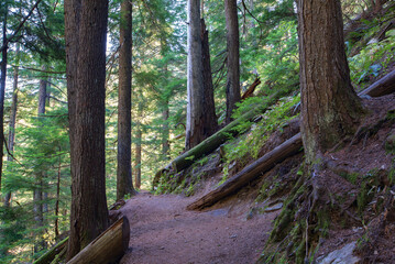 Idaho Gem: Shadow Falls