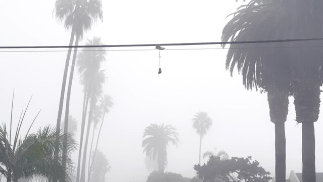 Sneakers canvas shoes hanging on power line, fog on city street, misty foggy weather in California, USA. Pair of boots dangling on laces or shoelace on cable or wire. Gloomy moody dramatic atmosphere.