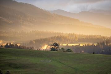 morning mist over the mountains