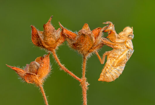 Dein erster eigener Gemüsegarten