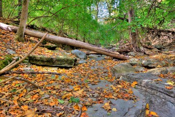 Indian Village Canyon in Fall, Columbus, Ohio