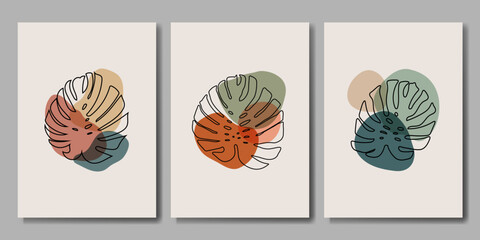 Vector illustration. Set of botanical posters. Retro style. Vector illustration. Design for banner, cover.