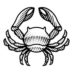 Scratchboard Engraved Crab