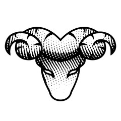 Scratchboard Engraved Ram Front View