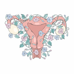Uterus. Vector illustration for stickers, covers and design - 540346090