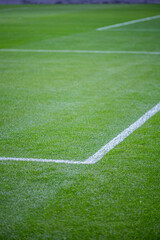 Fototapeta premium Maintenance of the lush green football field