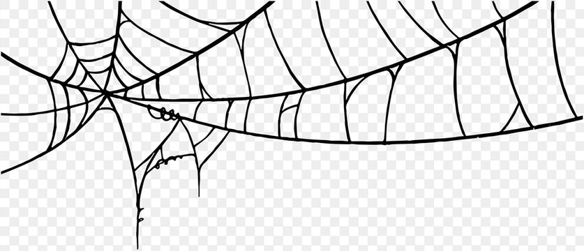 Halloween party background with spiderwebs isolated png or transparent texture,blank space for text,element template for poster,brochures, online advertising,vector illustration