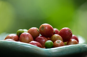 Ripe coffee fruits on bokeh nature background.