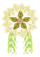 Philippine flora Christmas lantern parol with Sacred garlic pear ylang ylang flowers and alocasia leaves