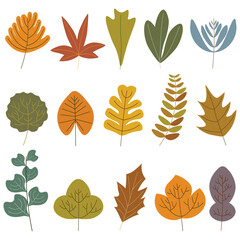 Collection of autumn leaf. Vector illustration on white background