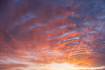 Stunning colorful sunset, blue sky, yellow purple cirrus clouds.