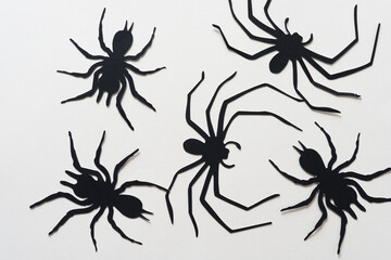 black paper silhouettes of spiders on blank paper