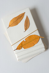 retro stationery with autumn peach leaves