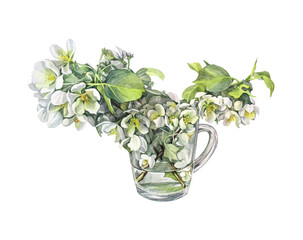Watercolor bouquet branches with apple blossoms in vase isolated on white background. Spring aromatic flowers. Lush foliage for romantic celebration. Clipart for wedding invite or 8 March. Wrapping