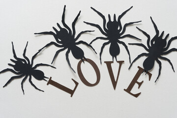 paper spiders and the word love