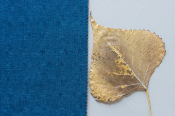 blue fabric and willow leaf on paper