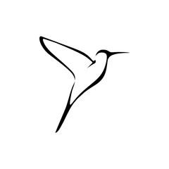 Bird logo. Tropical bird