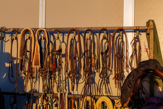 Kits of leather bridles and bats hang on the walls of the stable. High-quality photo
