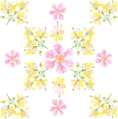 Botanical Tile Banaba Crateva religiosa