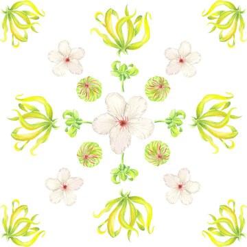 Botanical Tile Katmon Ylang ylang