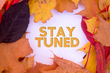 Autumn leaves, objects with Stay Tuned text. Natural patterns, color design.