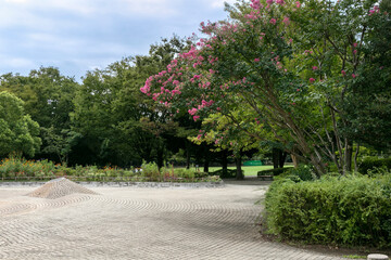 夏の雲公園（東京都練馬区光が丘）