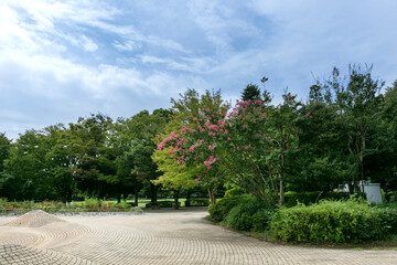 夏の雲公園（東京都練馬区光が丘）