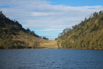 Calm Lake Water Among the Green Trees
