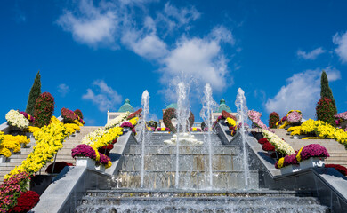 임실 국화 축제장의 파란 가을 하늘과 어우러진 아름다운 꽃밭