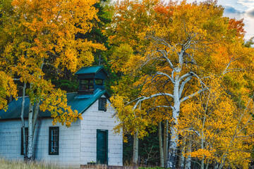 An Old Abandoned Chapel in the Woods