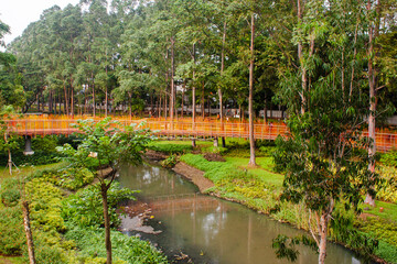 Garden with amazing plants and flowers. landscapes in the public park under a cloudy sky