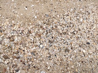 pebbles on the beach