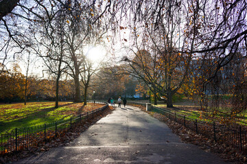 Scene of pathway and withered trees with leaves fall on green grass in morning at park in London.