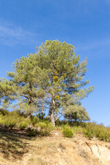 first autumn colors on the banks of the Cofio river in Robledo de Chavela, Madrid