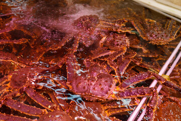 北海道の市場の花咲ガニ