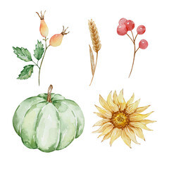 Thanksgiving watercolor elements, pumpkin, sunflower and berries