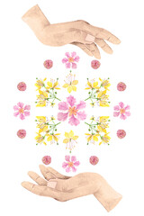 Philippine flora hand banaba crateva religiosa mandala