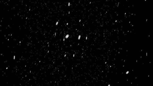 Winter Snow,  Falling  snow a black background