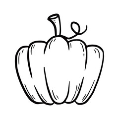 Hand drawn pumpkin. Doodle sketch style. Drawing line simple pumpkin icon. Isolated vector illustration.