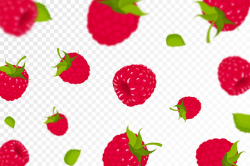 Fototapeta na wymiar Raspberry background. Flying raspberry with green leaf on transparent background. Raspberry falling from different angles. Focused and blurry objects. Flat cartoon vector.