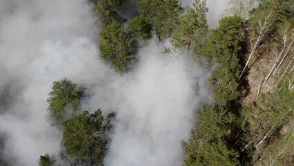 Top view of an invincible forest fire