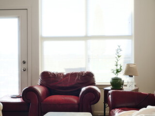 Chair Next to Lamp and Plant by Window