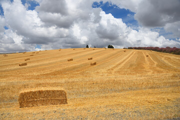 Spanish landscape under cloudy sky in Andalusia community with a hayrick  at the foreground.   