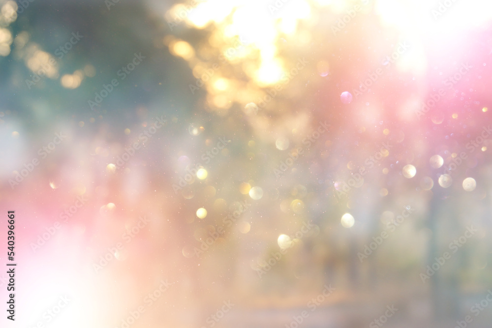 Canvas Prints blurred abstract photo of light burst among trees and glitter bokeh lights
