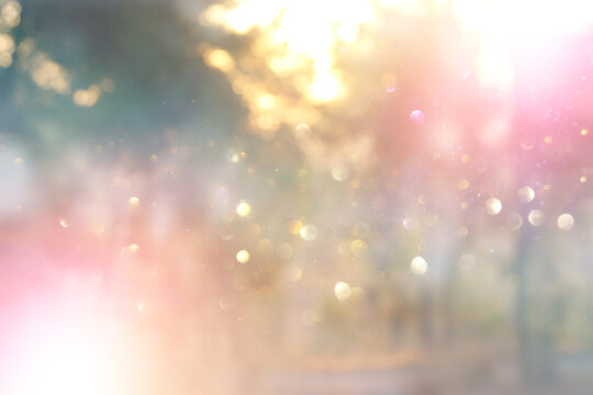 blurred abstract photo of light burst among trees and glitter bokeh lights © tomertu