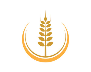 Circle with wheat shape inside