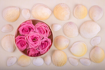 並べた貝殻と容器に入れたバラの花